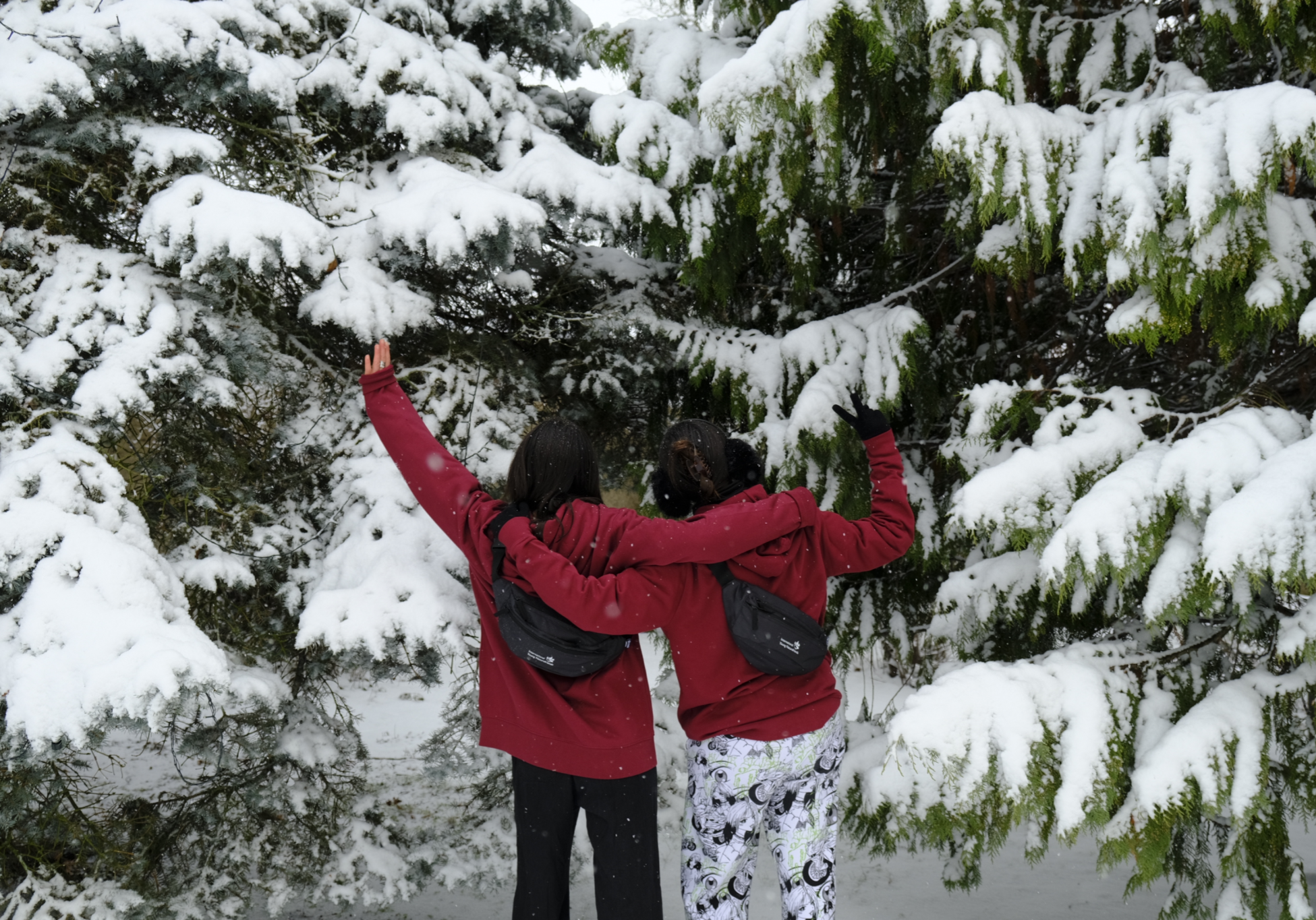 Secretariat Hero Picture